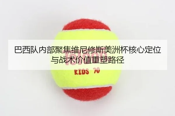 巴西队内部聚焦维尼修斯美洲杯核心定位与战术价值重塑路径